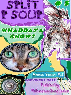 cover image of Split P Soup